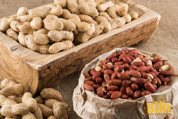 هر آنچه باید از بادام زمینی بدانید