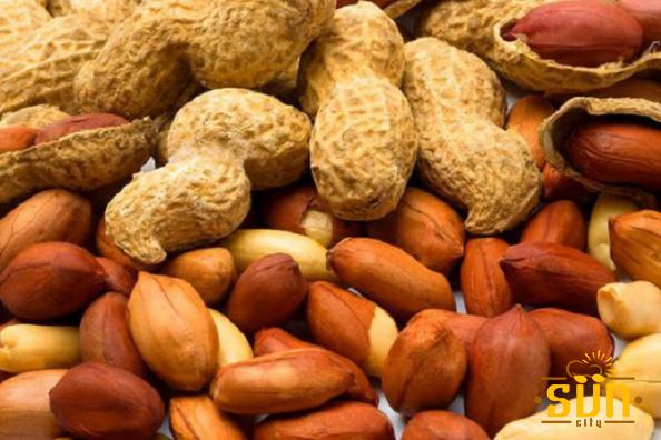 عوامل موثر بر کیفیت انواع بادام زمینی