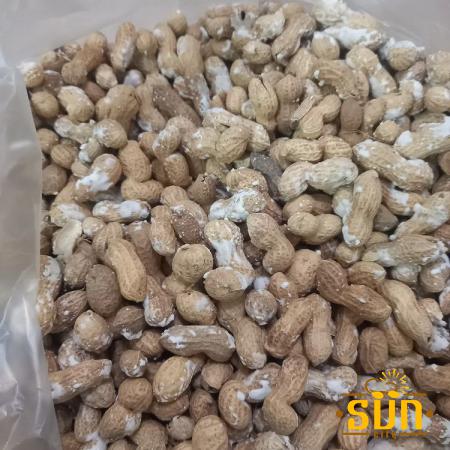 سفارش انواع بادام زمینی روکش دار فله ای