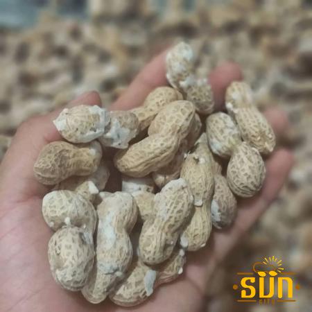 عوامل موثر در قیمت بادام زمینی
