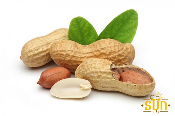 بادام زمینی درجه یک چه ویژگی هایی دارد