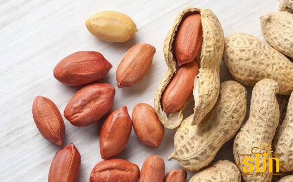 سفارش مستقیم بادام زمینی چینی