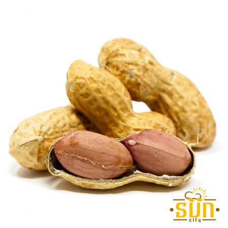 قیمت خرید بادام زمینی پارس اباد