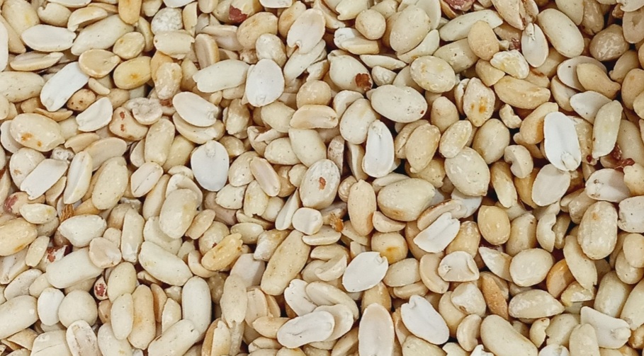 قیمت عمده بادام زمینی هندی کره گیری 